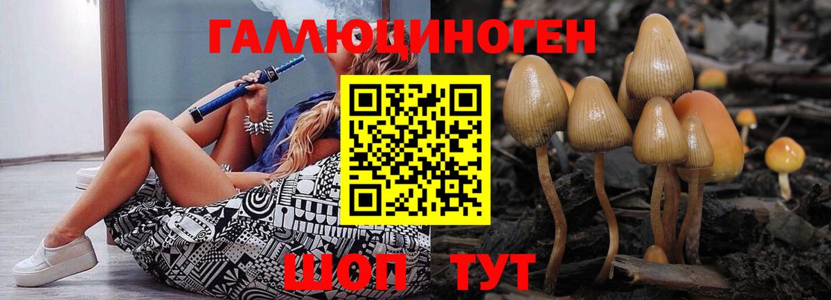 Псилоцибиновые грибы Psilocybe Качканар